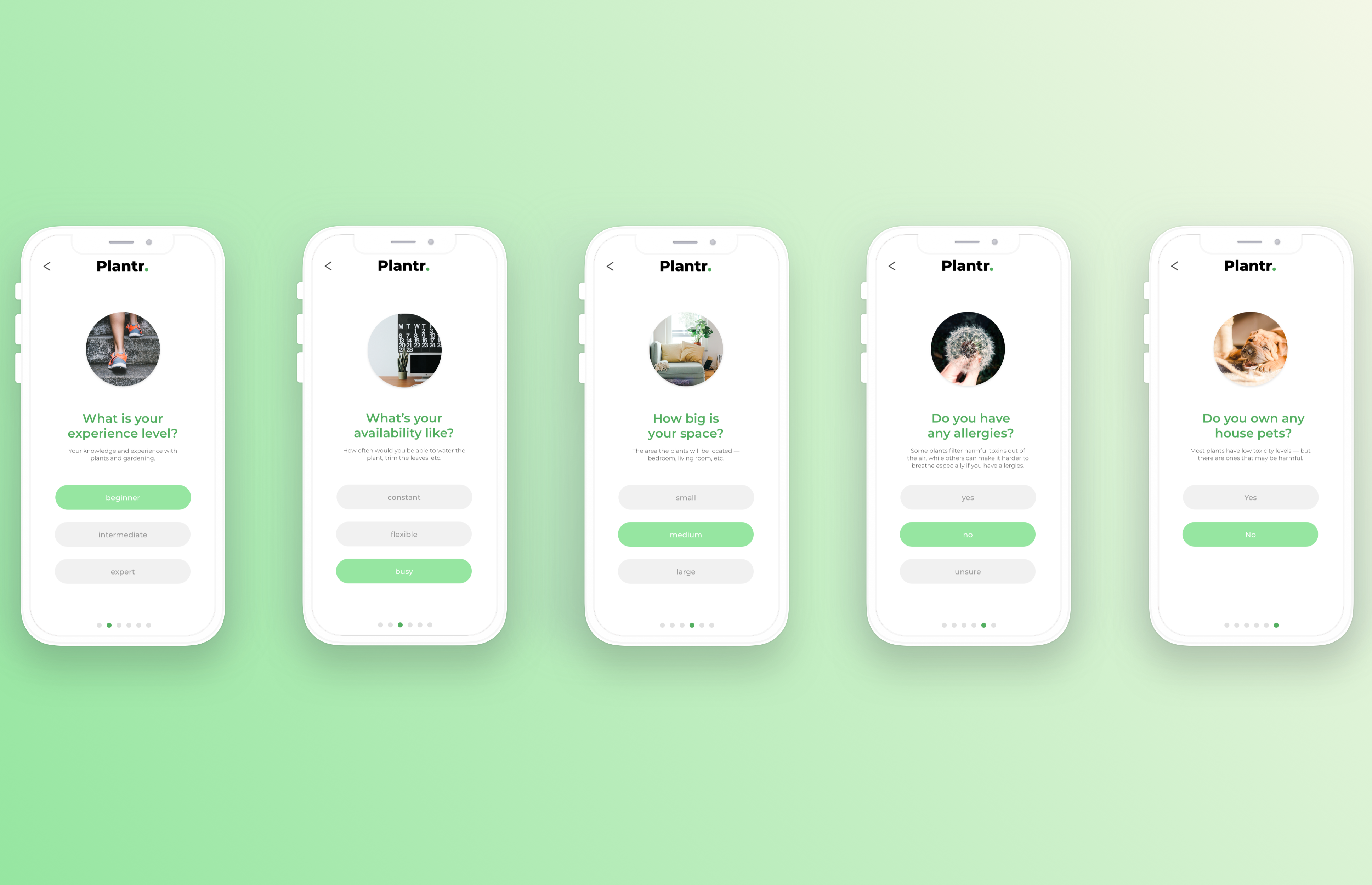 Mockup-5